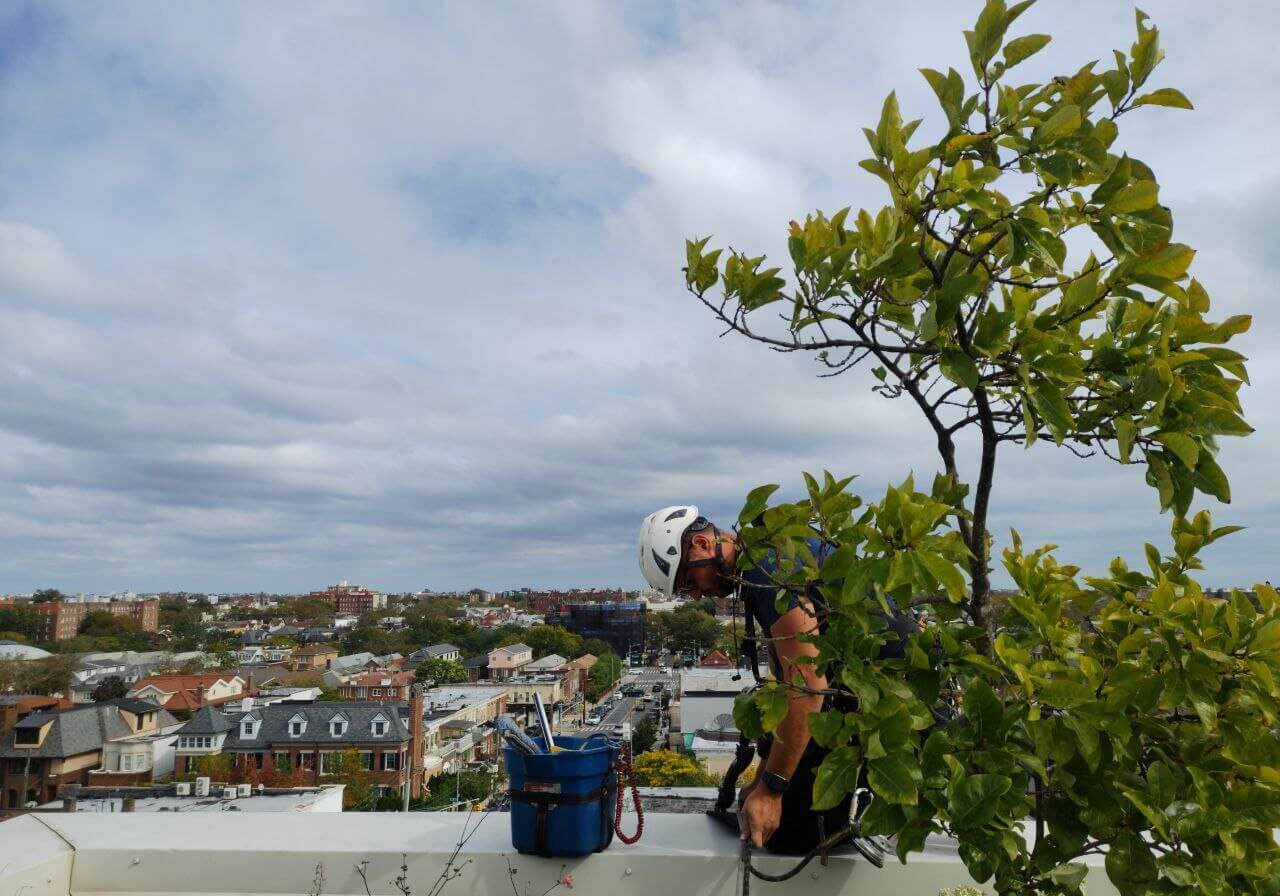 Simon's window cleaner on roof of building